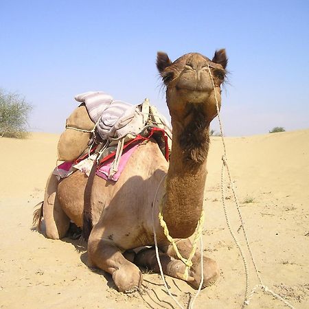 Hotel Royal Jaisalmer Dış mekan fotoğraf