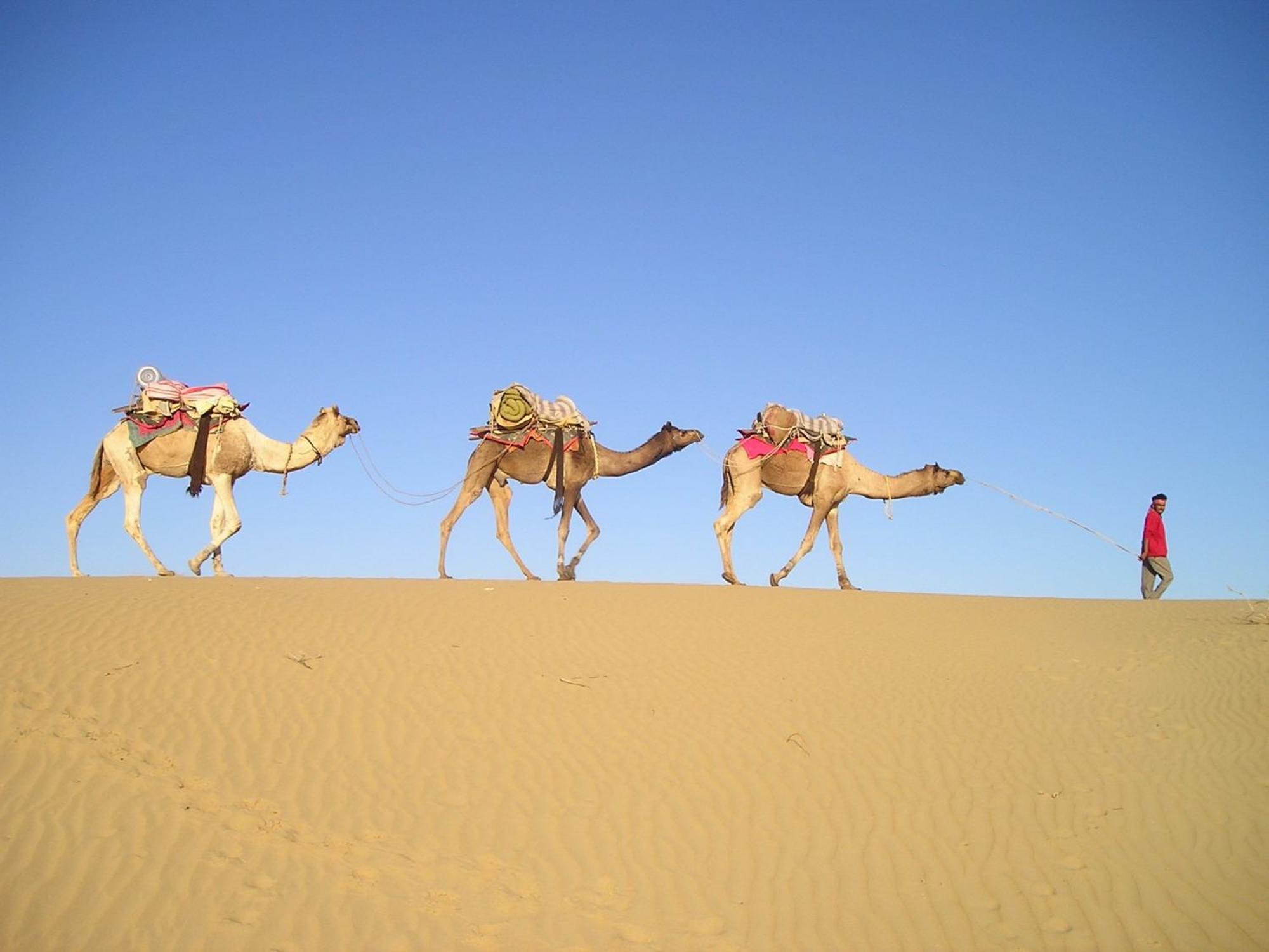 Hotel Royal Jaisalmer Dış mekan fotoğraf