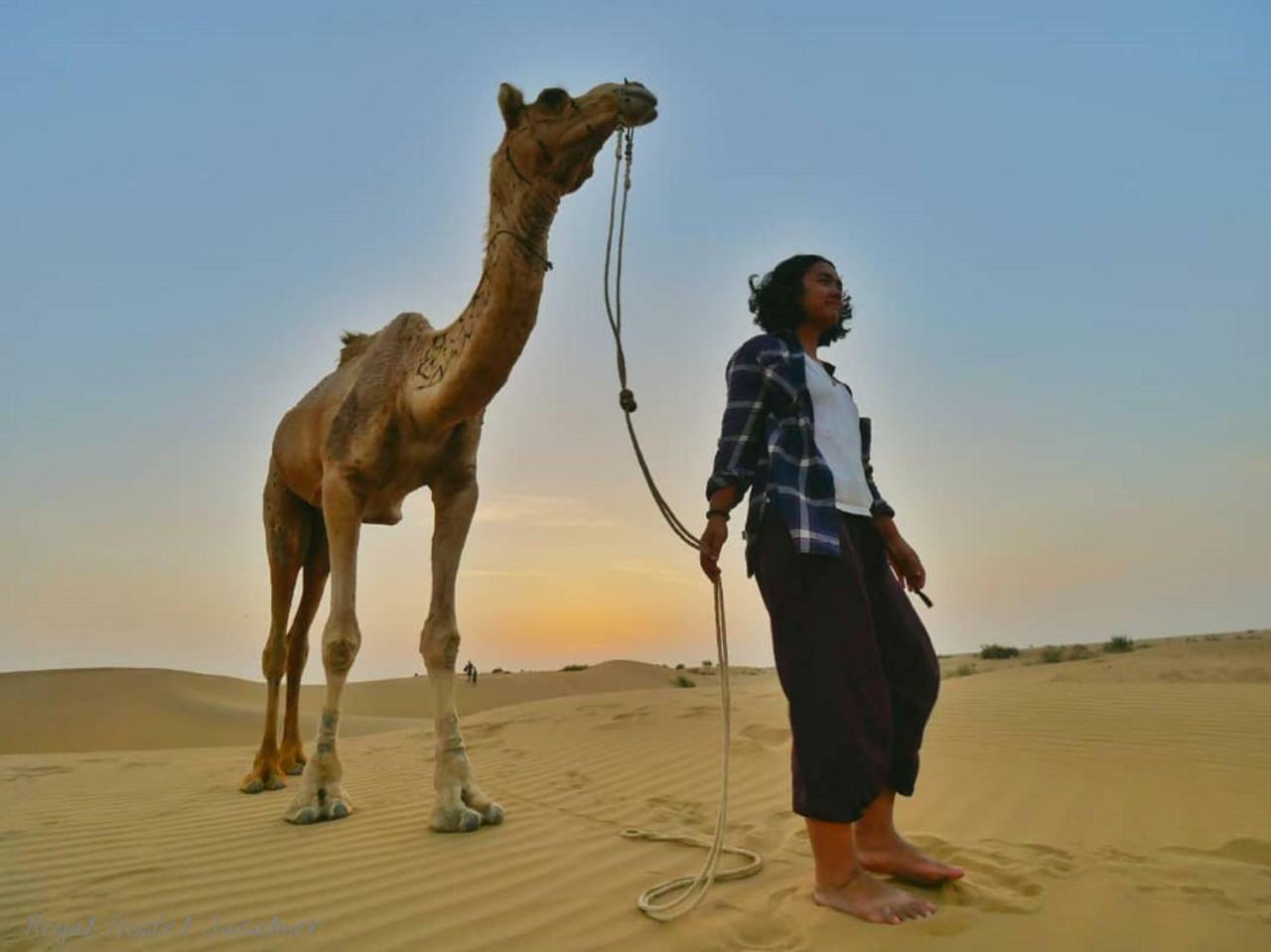 Hotel Royal Jaisalmer Dış mekan fotoğraf